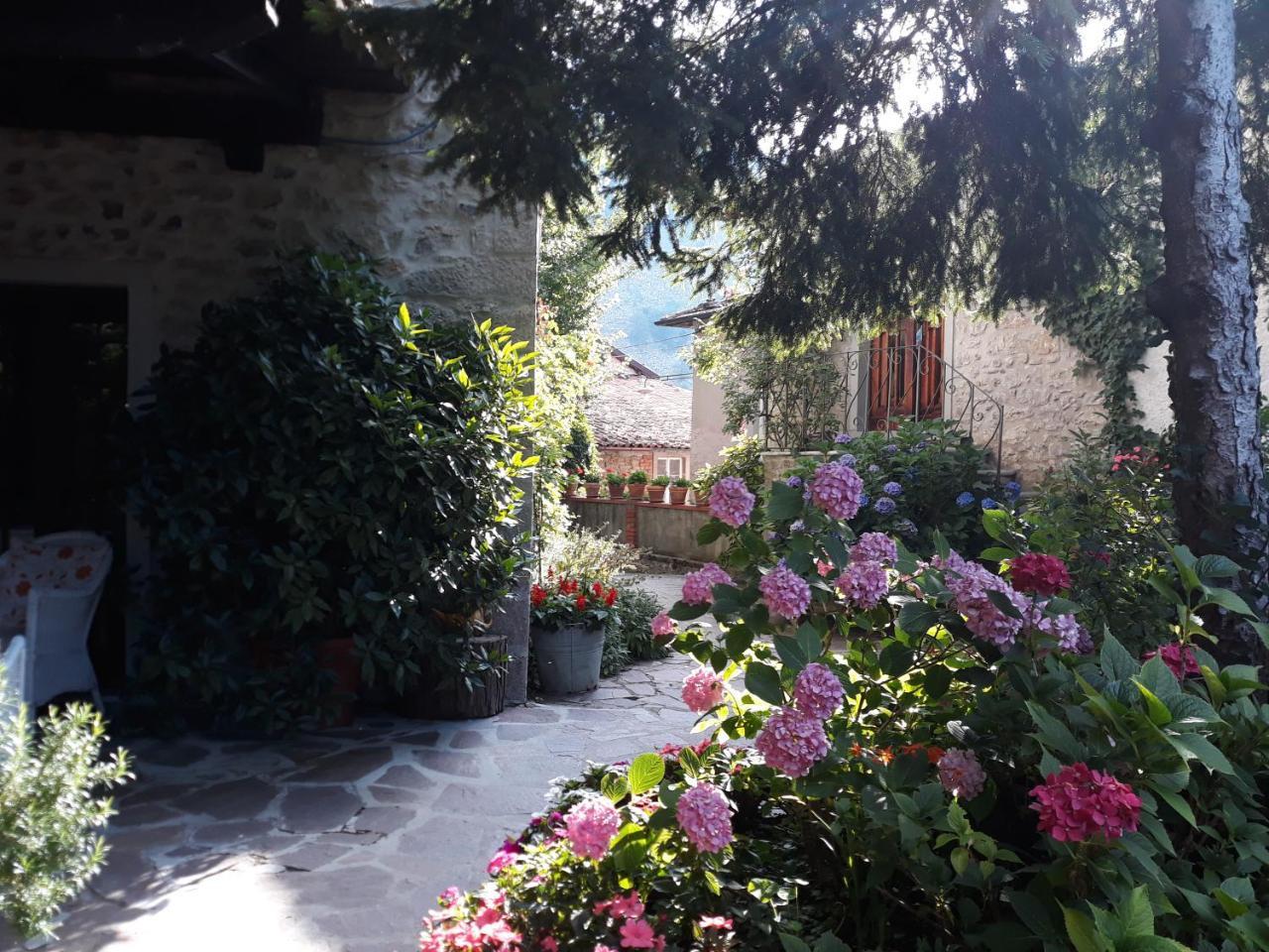 Albergo La Baita Corfino Exterior photo